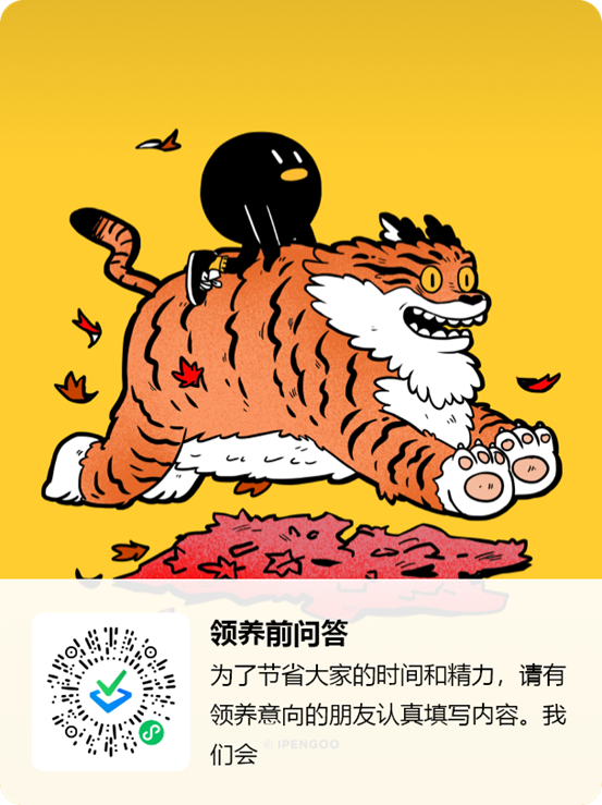 加入我们